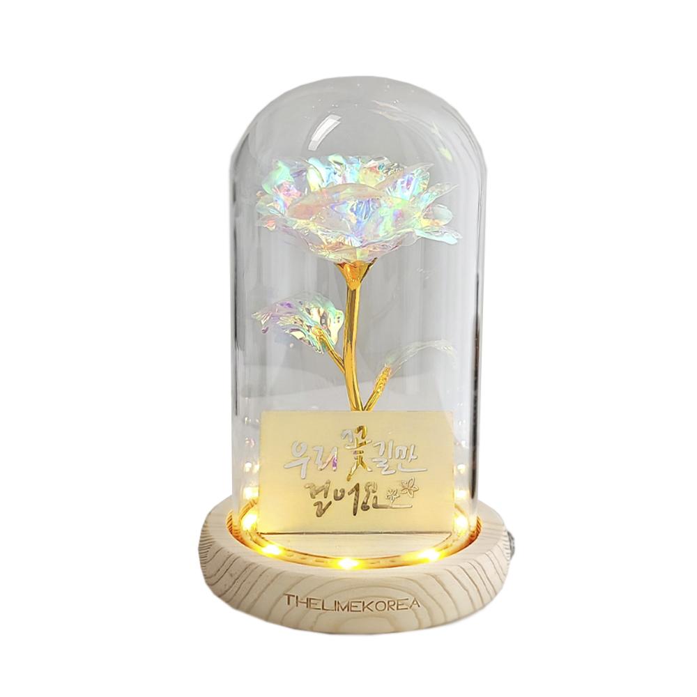 LED flower road Aurora rose glass dome mood light lover's gift